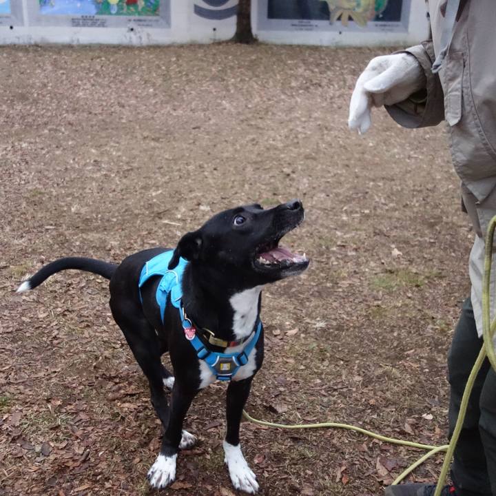 158875e8 90dd 40ed b8be 5c3f6ce24fc3 1610669278578