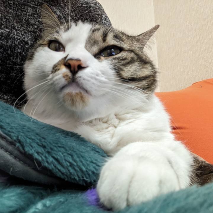 158887e7 7ff7 4ef4 a2c3 4eb418f37d75 1709776254807