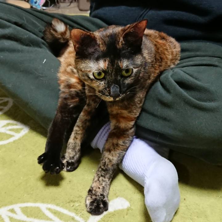 15889f44 4a1c 48a9 ba4e a4e2c828aff3 1521037720095