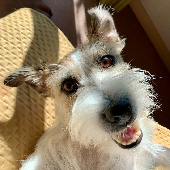 1588c9a0 ba1b 4c4a 999e ed09d0025ea4 1667711596902