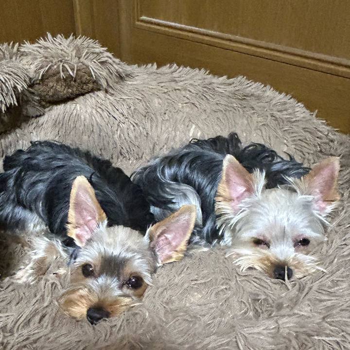 1588de98 3076 4db4 a255 7b28b4beaddc 1772718211056