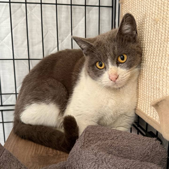 1588e2bd 2a45 4c02 804a c8d85174a9cd 1775638385661