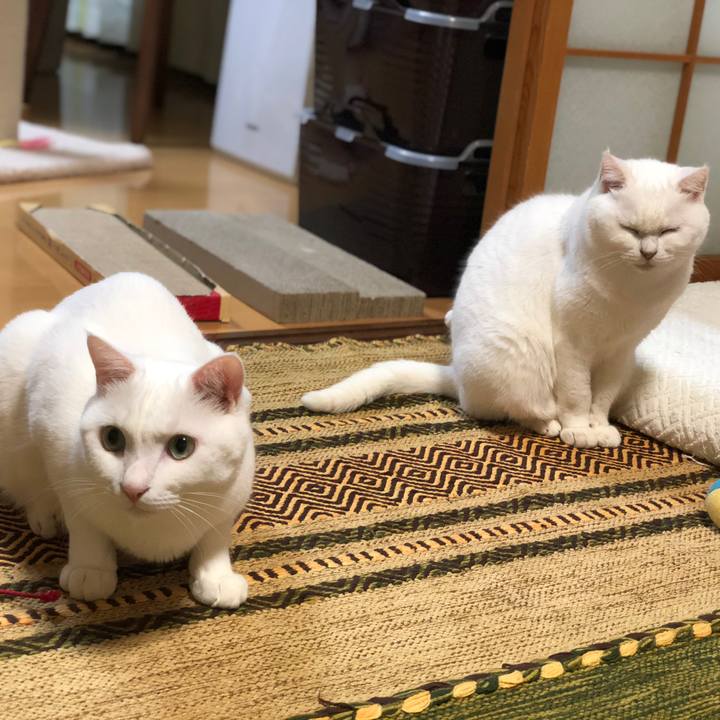 1588fdb2 b17f 403a b7b0 514aa3c5d837 1537967923198