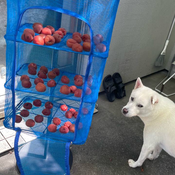 1589072b 24ea 49b9 bb33 970c1ac4249d 1756179027971