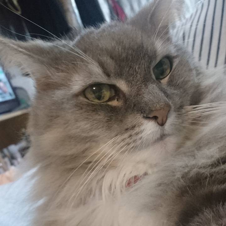 15891145 2c4c 4cd1 b357 5c9bf55506fc 1764708991626