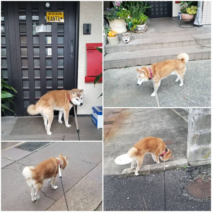 15892a9f c2de 4e8b b500 1de68168c0a6 1760516410071