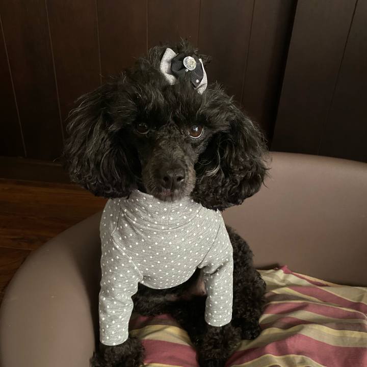 15892b1d 1848 4406 932e 05bc95783042 1632375502024