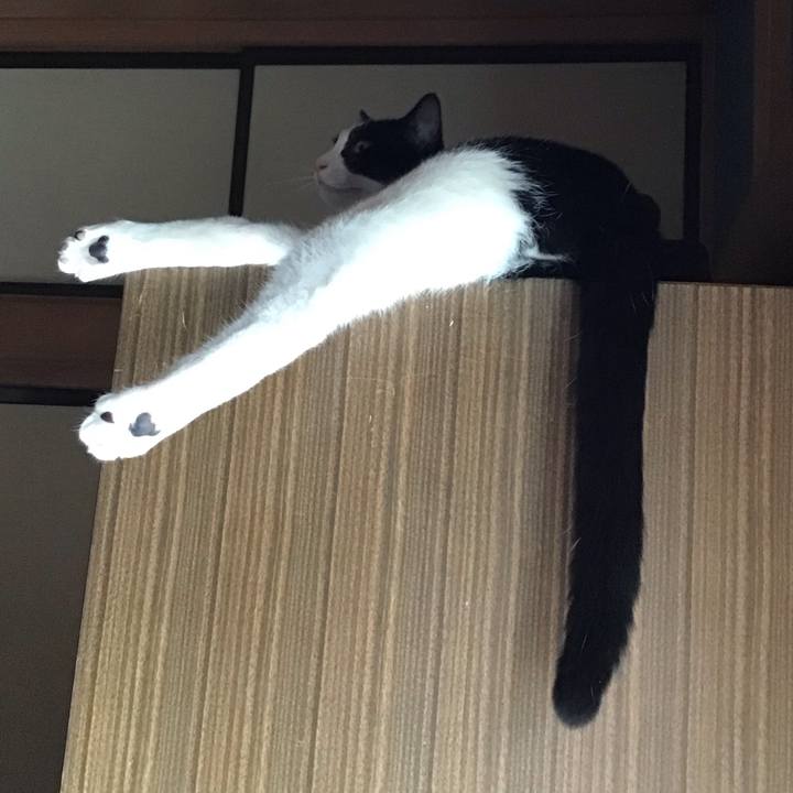 15895156 f24c 46d8 8f03 28dd87fed0d2 1661689809870