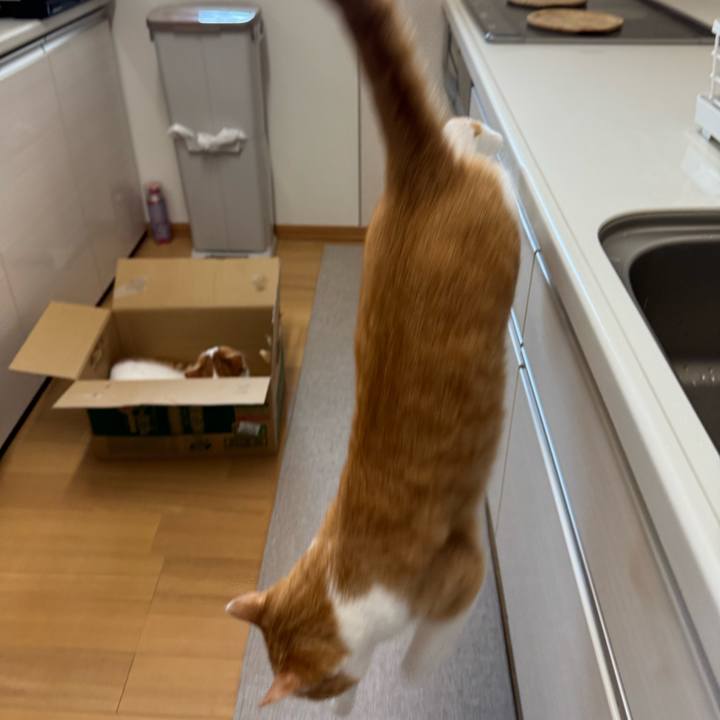 1589b33e fd92 4647 bc2f 1b3e70bde0de 1775705655816