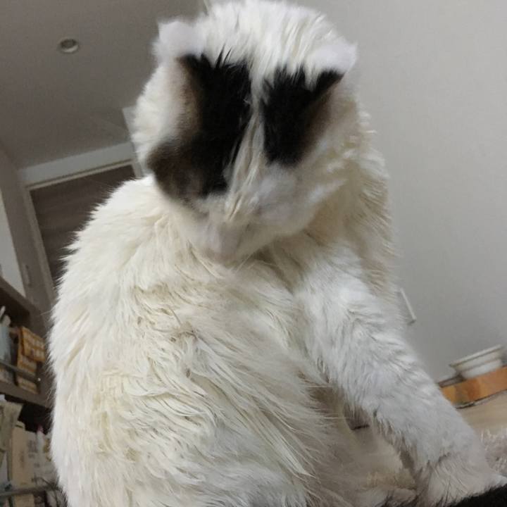 1589b682 90e5 4e4a b9cb f34b33bfbfb1 1514697191544