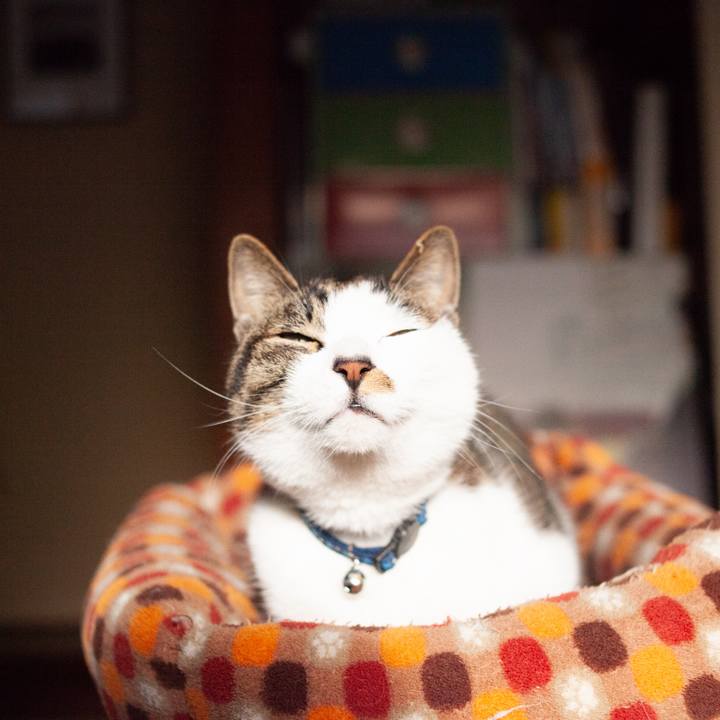 1589b7c9 0654 457a be2a bc5d115c868d 1549815088685