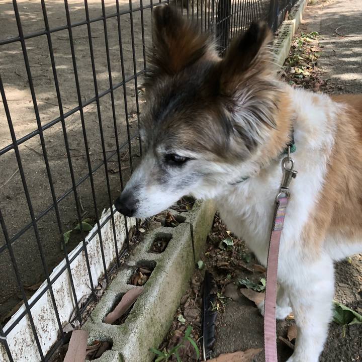 1589bf8f d403 4472 b99f 75a4df5f0e58 1534575327020