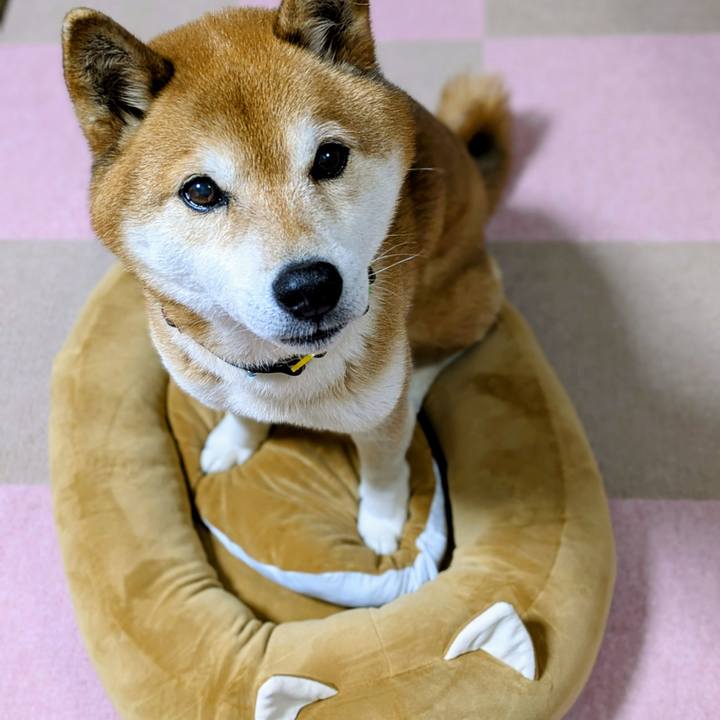 1589cdf6 473c 4be9 898c aa3c9822df45 1772098046356