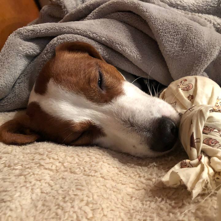 158a2c0e cd5f 472f a64a 3ec4174f0e73 1546500012786