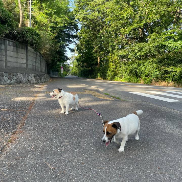 158a9692 6062 408e 90e3 50777d7ccaf4 1750198383950