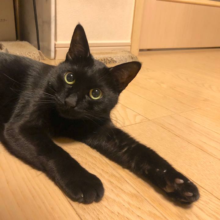 158aad21 224d 48f6 9012 edb41949f0aa 1577451718956