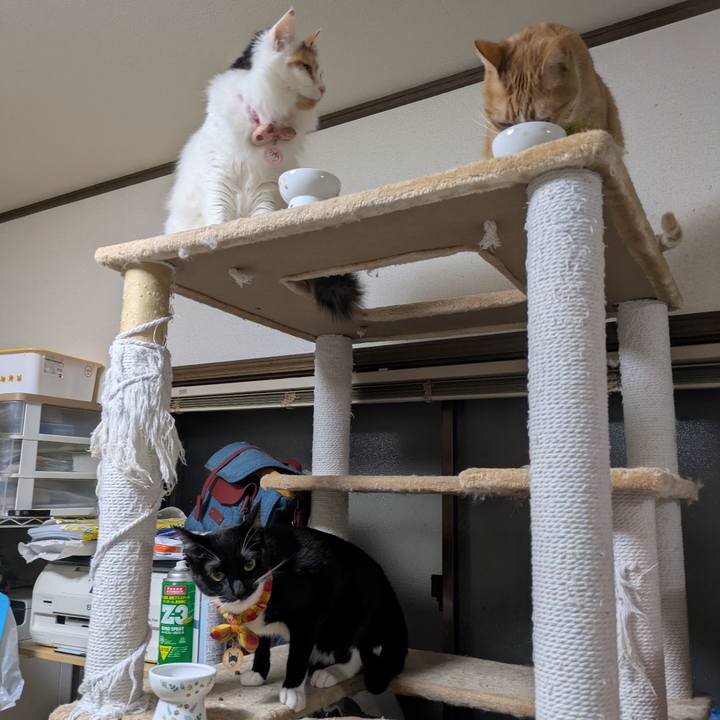 158aaedc 0c5d 4320 9516 084d9f6b2f5f 1768282385995