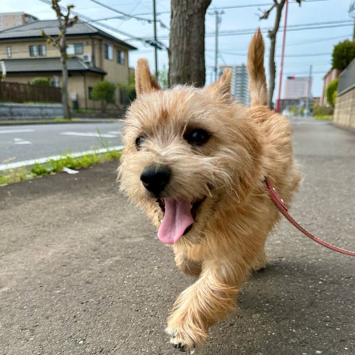 158af698 8dee 4ce5 841c 09ce2b9b4104 1713675810550