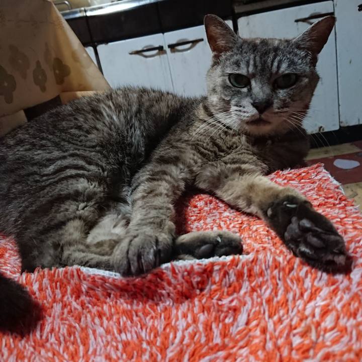 158af8ad 6ce8 4777 8911 5c30f2f7e5f9 1565692575243