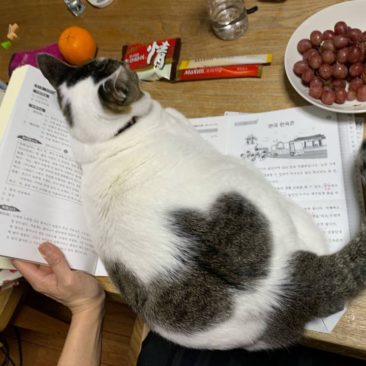 158b14aa cb4e 4a79 a50b 8328dd1c84e2 1612879738114