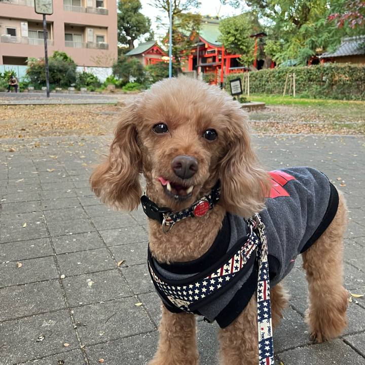 158b24f5 8106 4e9f ae20 c926e234516f 1668843312629