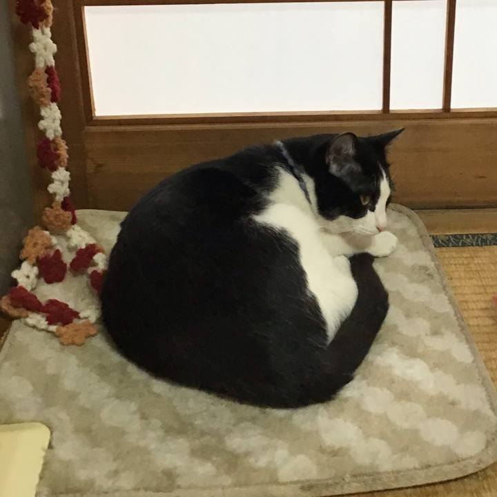 158b4231 b2d4 4a58 b583 2c7f42b382f3 1642207680273