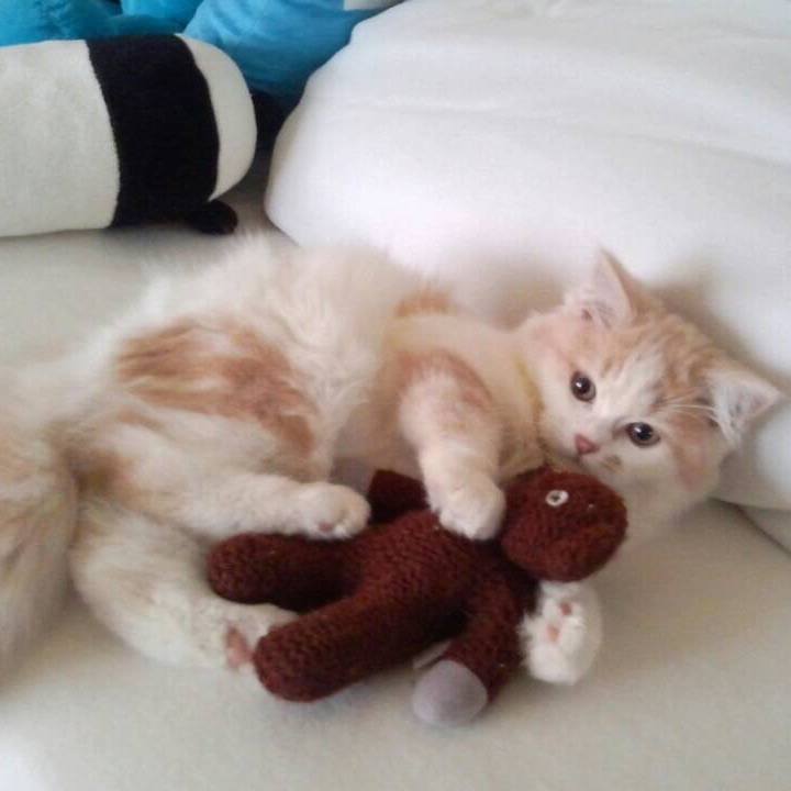 158b6bda 2379 4490 8765 058b1e9324d7 1535123362501