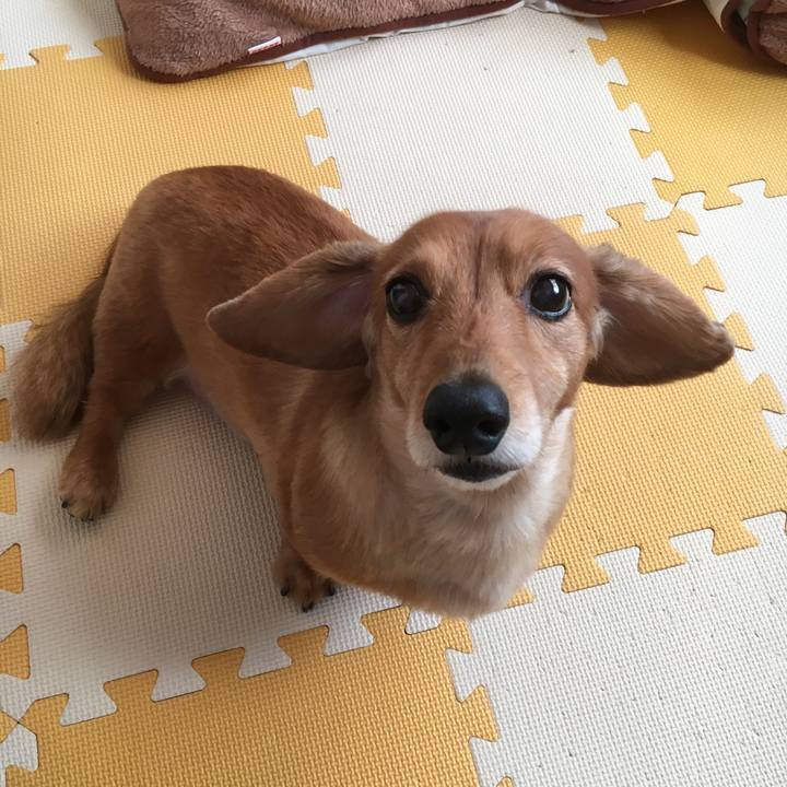 158b92df d85f 4382 a2c5 78970d1342b1 1577777688226