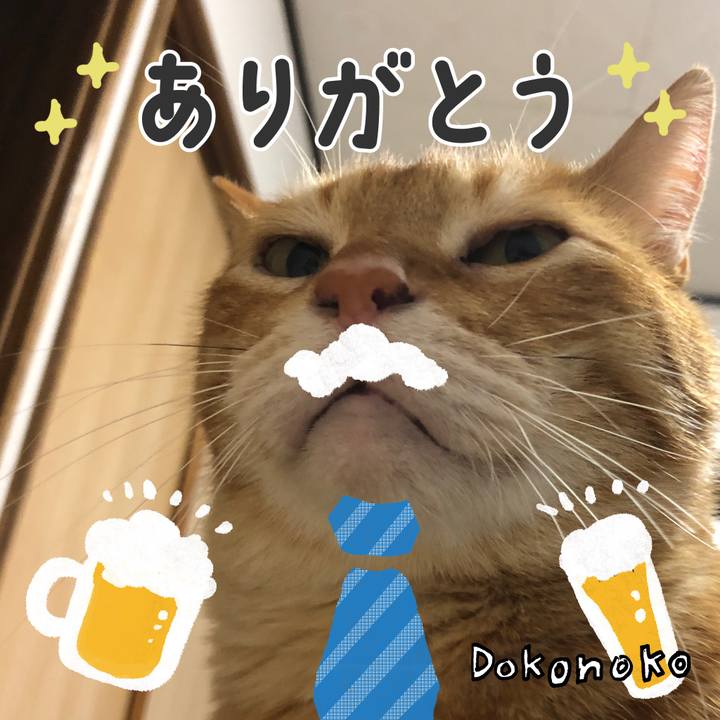 158bbf39 3d72 4ef3 b619 ce26b7f51ef3 1717826685708