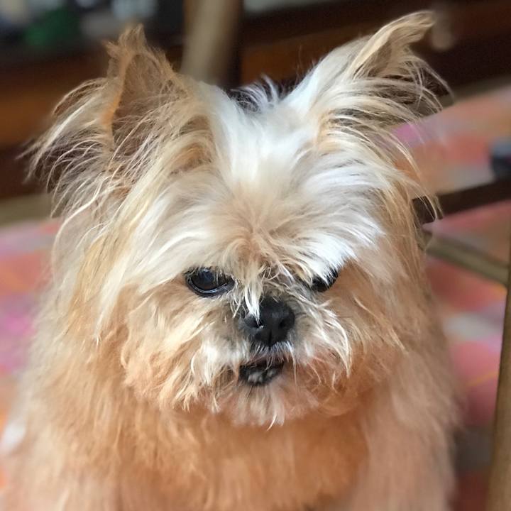 158be501 13f0 4d6e 8fab 848ad68f42a8 1587341280585