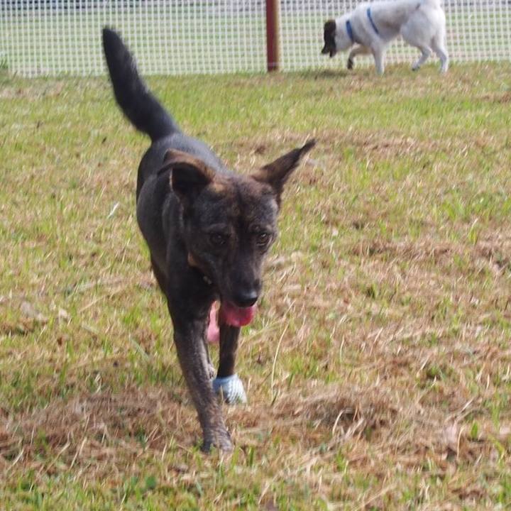 158c2829 4f50 46b7 b81e f883d5645e28 1543756991456