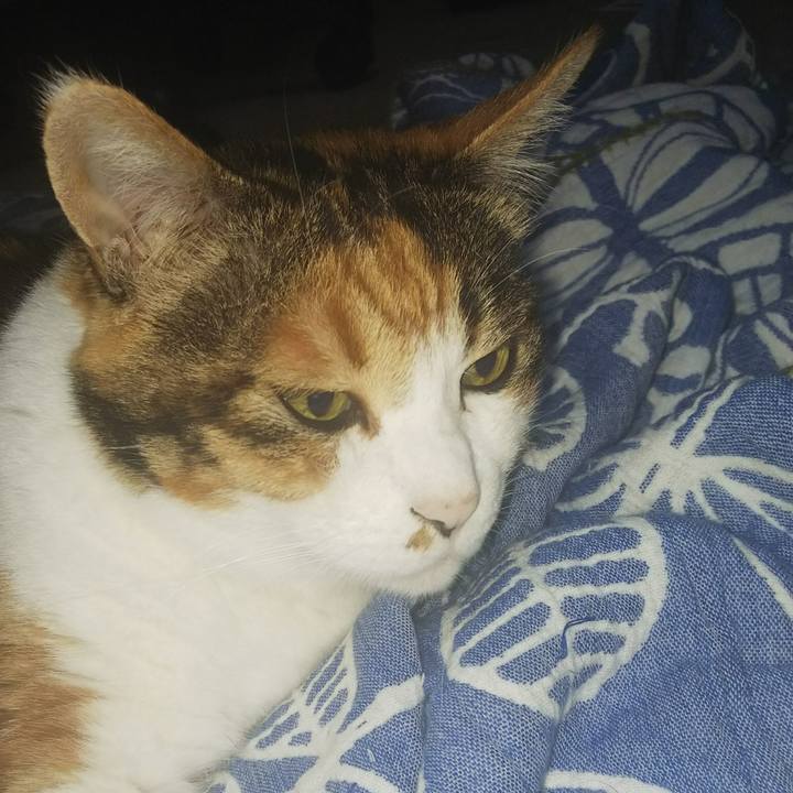 158c4e34 f7d6 45eb a5bc f75eb081d0a2 1533591960726