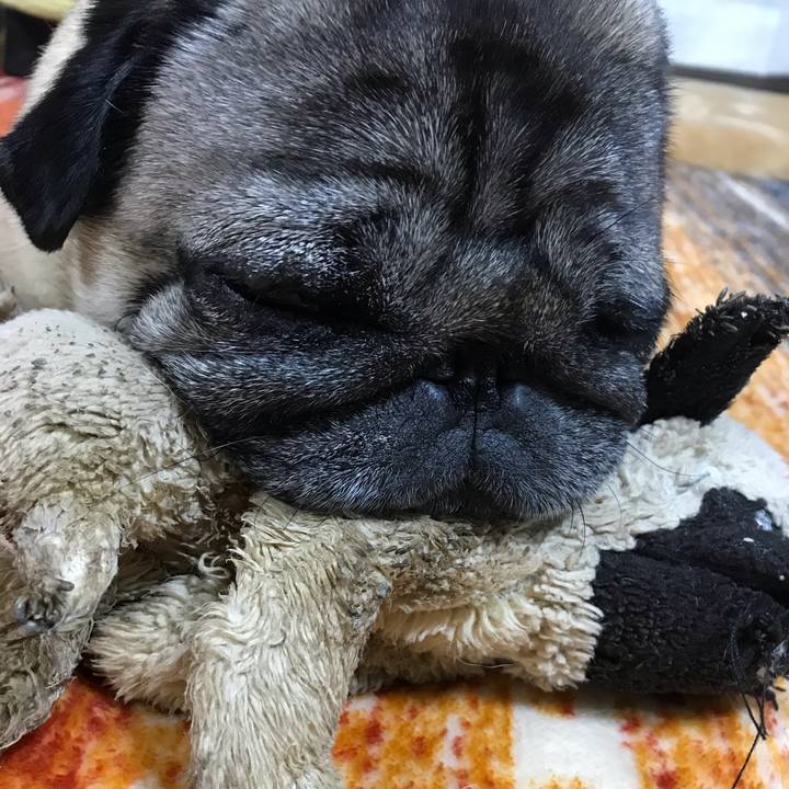 158c55d1 6123 42b1 814a 94e42fc9e46e 1604490445864