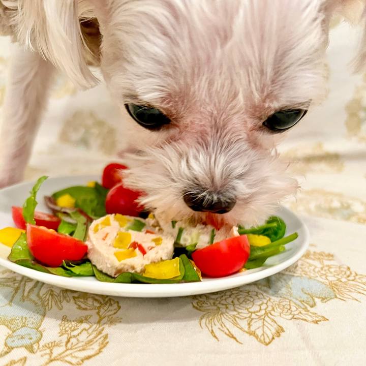 158c91aa cb7d 41f7 9c4a 9cad99643a18 1673251272060