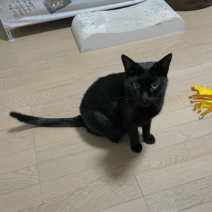 158c9fab 322f 4822 9127 9e543c53301b 1696419598569