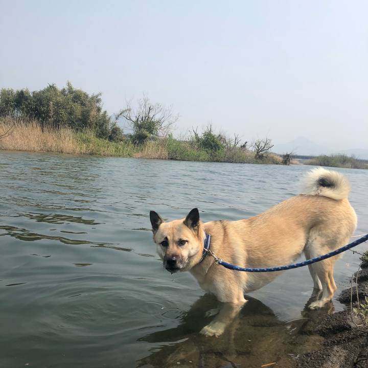 158ca255 5b60 4f75 a924 dc9f7388613e 1554627524990