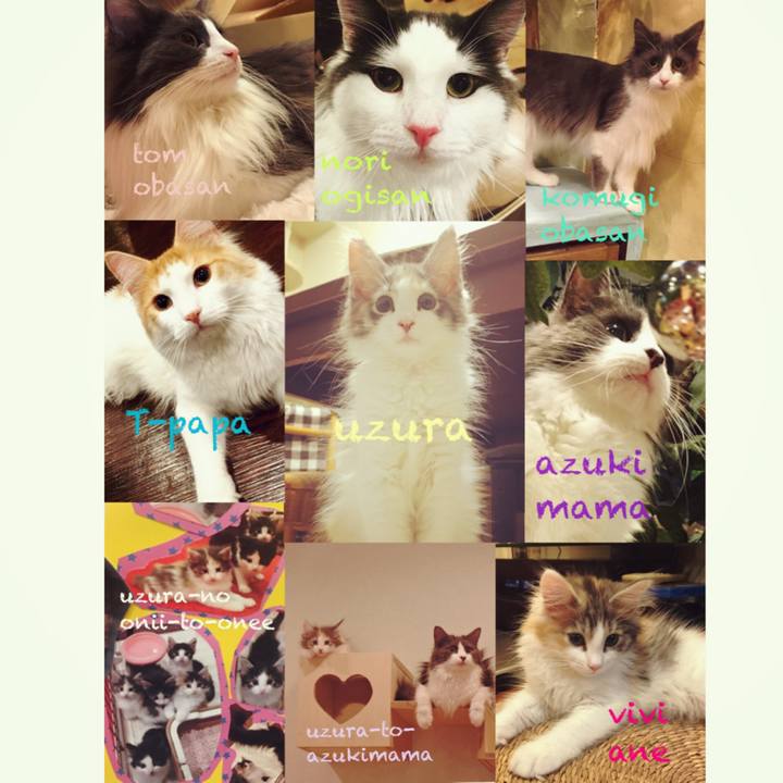 158ca2b9 ce8c 4e03 ab6c c21f3cb993a1 1537160599087