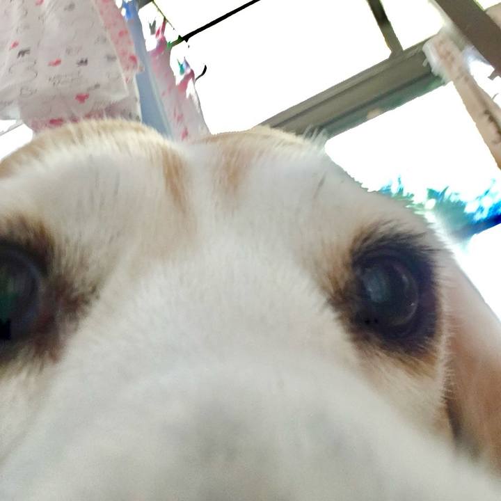 158cbe08 d713 4bc5 ba3f 7afccc3e2e3b 1770032579861