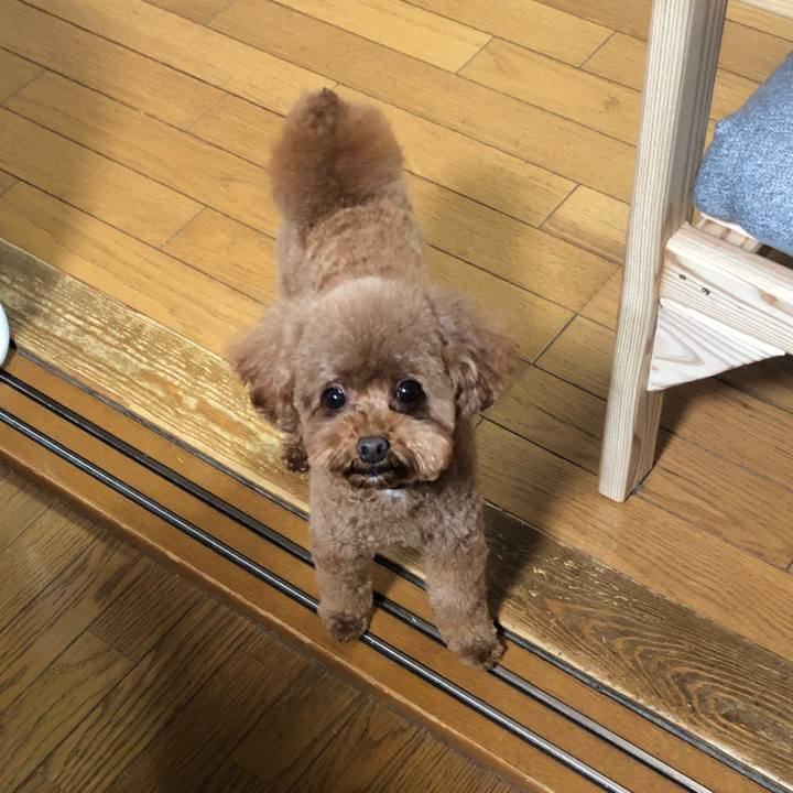 158ccf67 a46d 4938 8c9f 8210b1bfdd5b 1592109774084