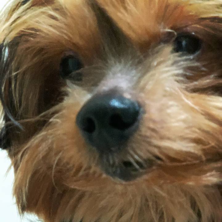 158ce37f 2ab9 4a1f af1b 331862ea18be 1582345303160