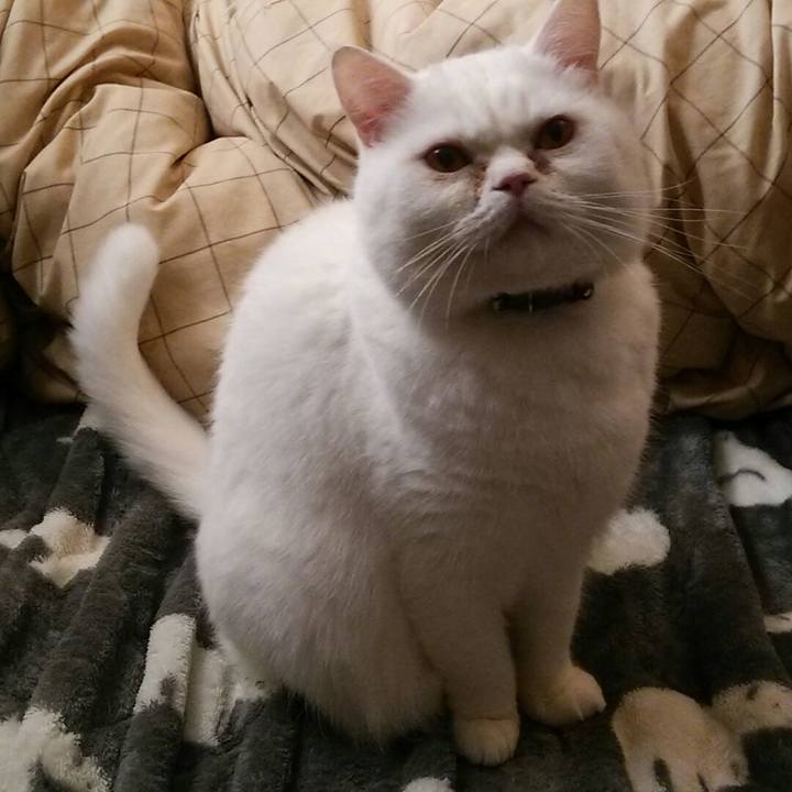 158cf246 a95b 4bda 80b3 7878743ffdf3 1515021334542