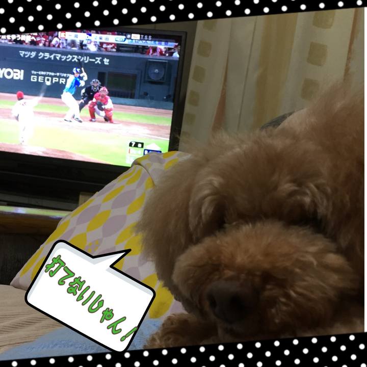 158d009a 7bee 48f0 a563 0937a0b06c1e 1508759148291