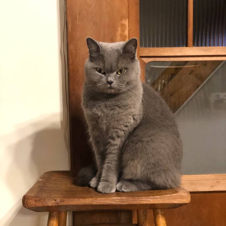 158d12ab 0ab5 426d 8642 07edb85e6271 1579302418622