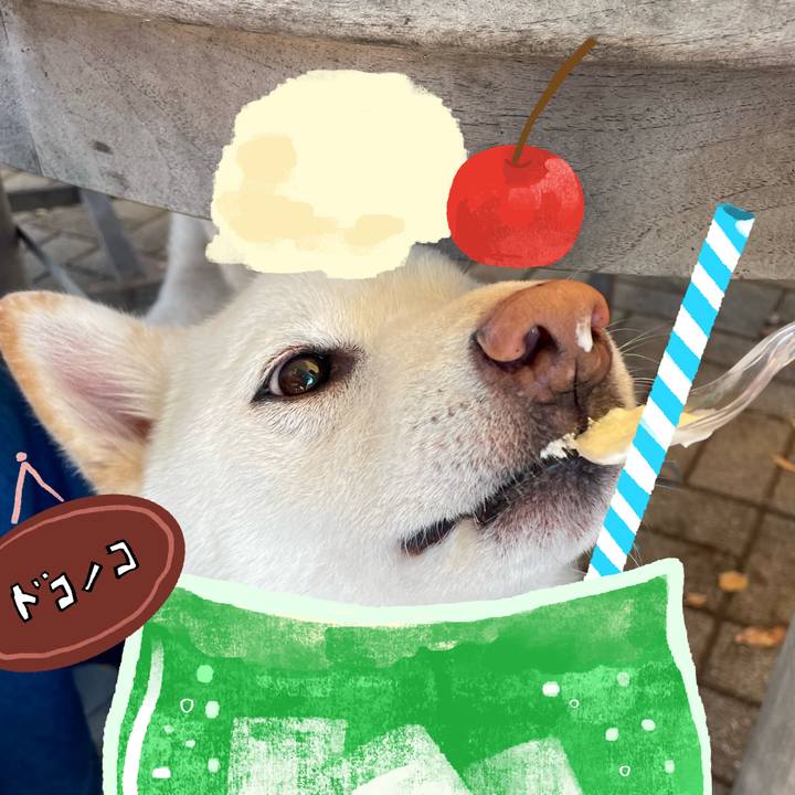 158d29c2 8557 40d4 9c1d d1baac28371d 1755405877980