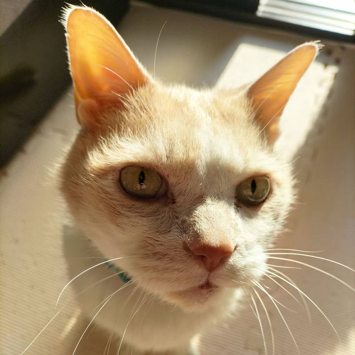 158d3635 52b0 48a2 b1a4 e92f8a7a4f11 1680559839487