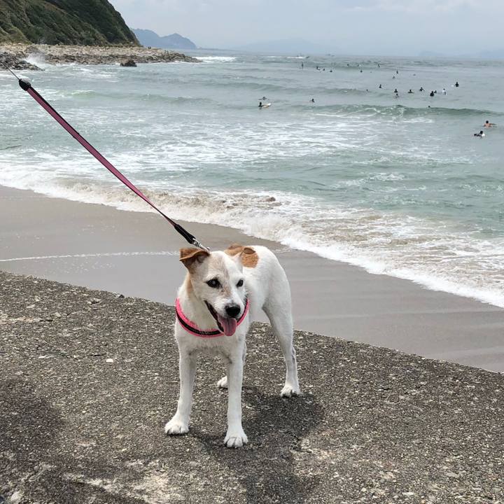 158d4d3f 4010 4bfb b05b fb28309e7c8e 1538873022297