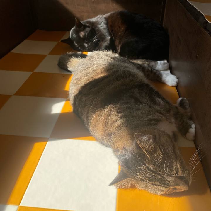 158d522b e5c2 432e 8082 60f400518f50 1698974622627