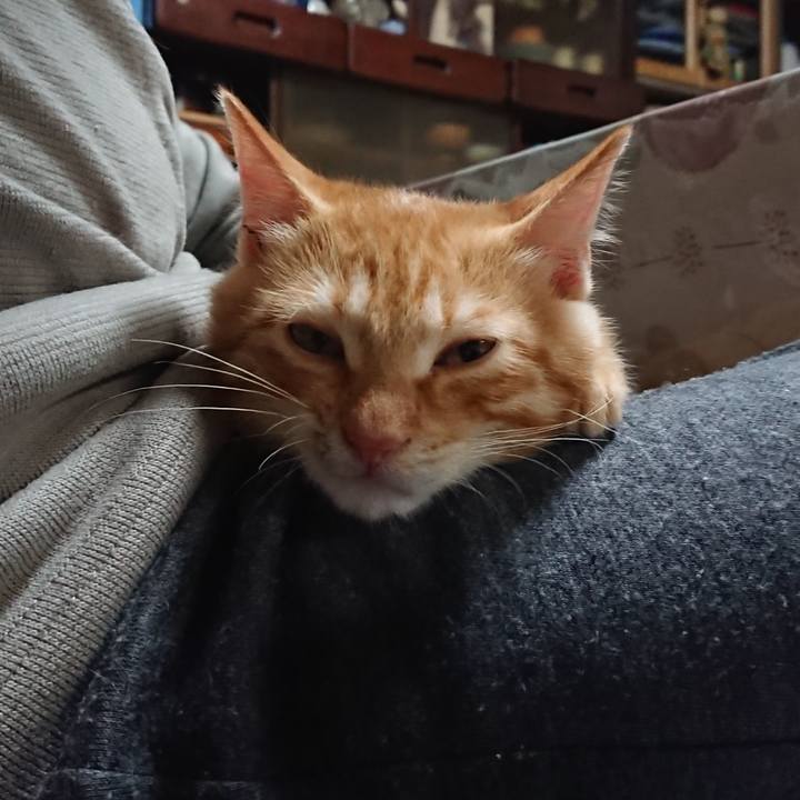 158d8598 366c 44c7 9411 27ad398d7de1 1633086280806