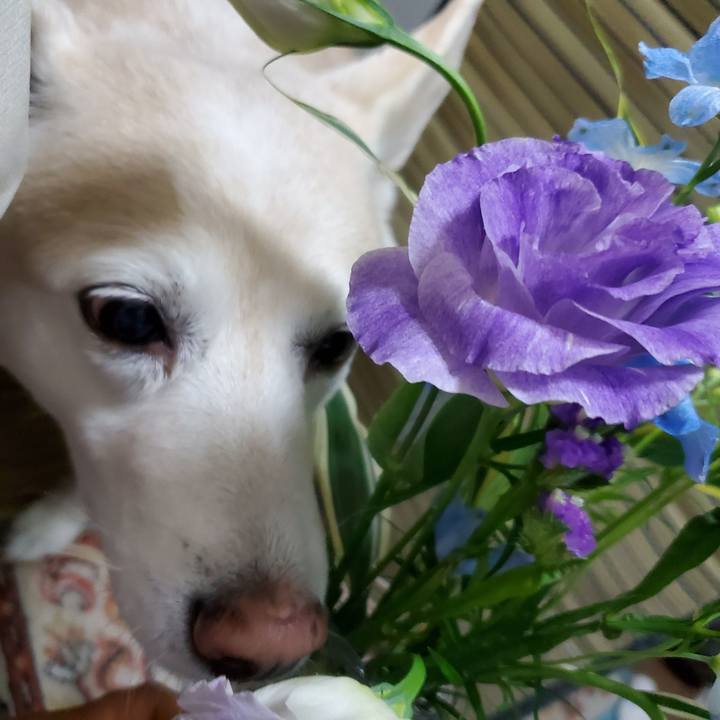 158d95c8 facf 47d6 8375 47550a55527f 1606999078584