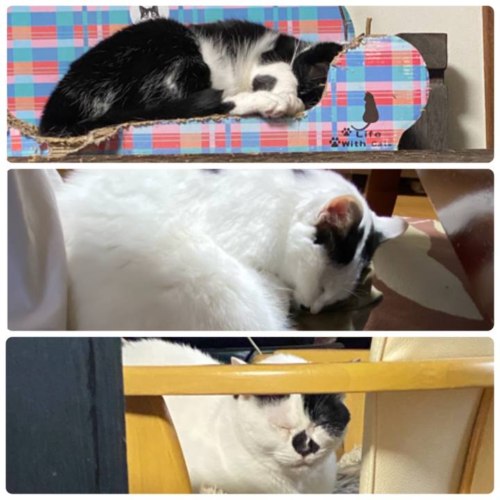 158daaba 2354 4e81 9517 2270247d351a 1622074705224